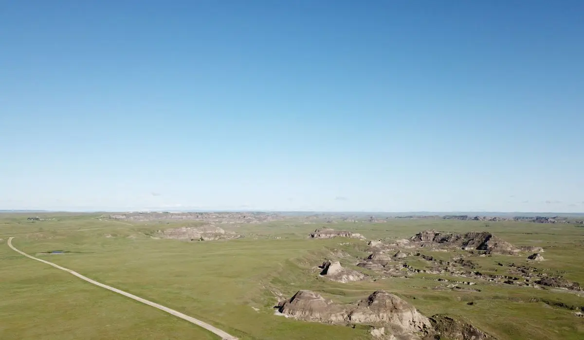 A view of some rocks and grass from above.